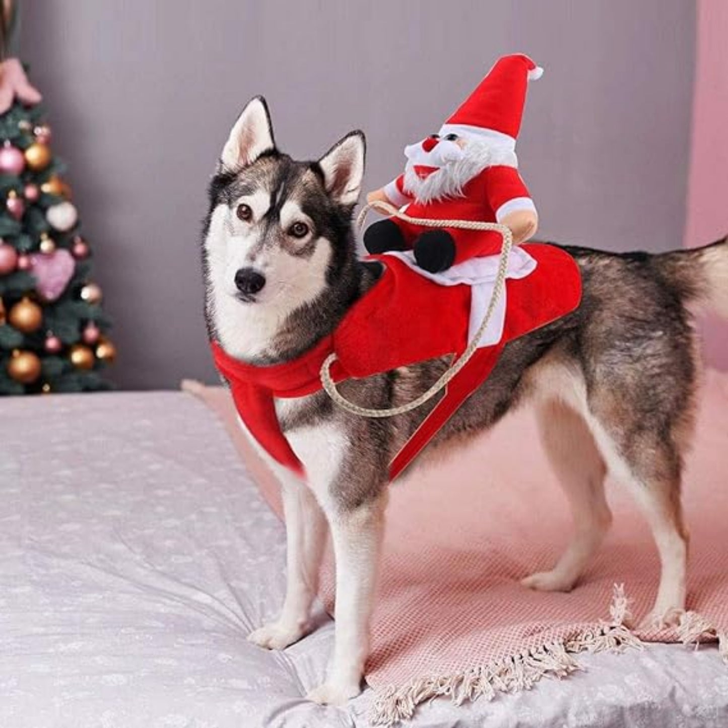 Traje De Navidad Con Muneco Talla S